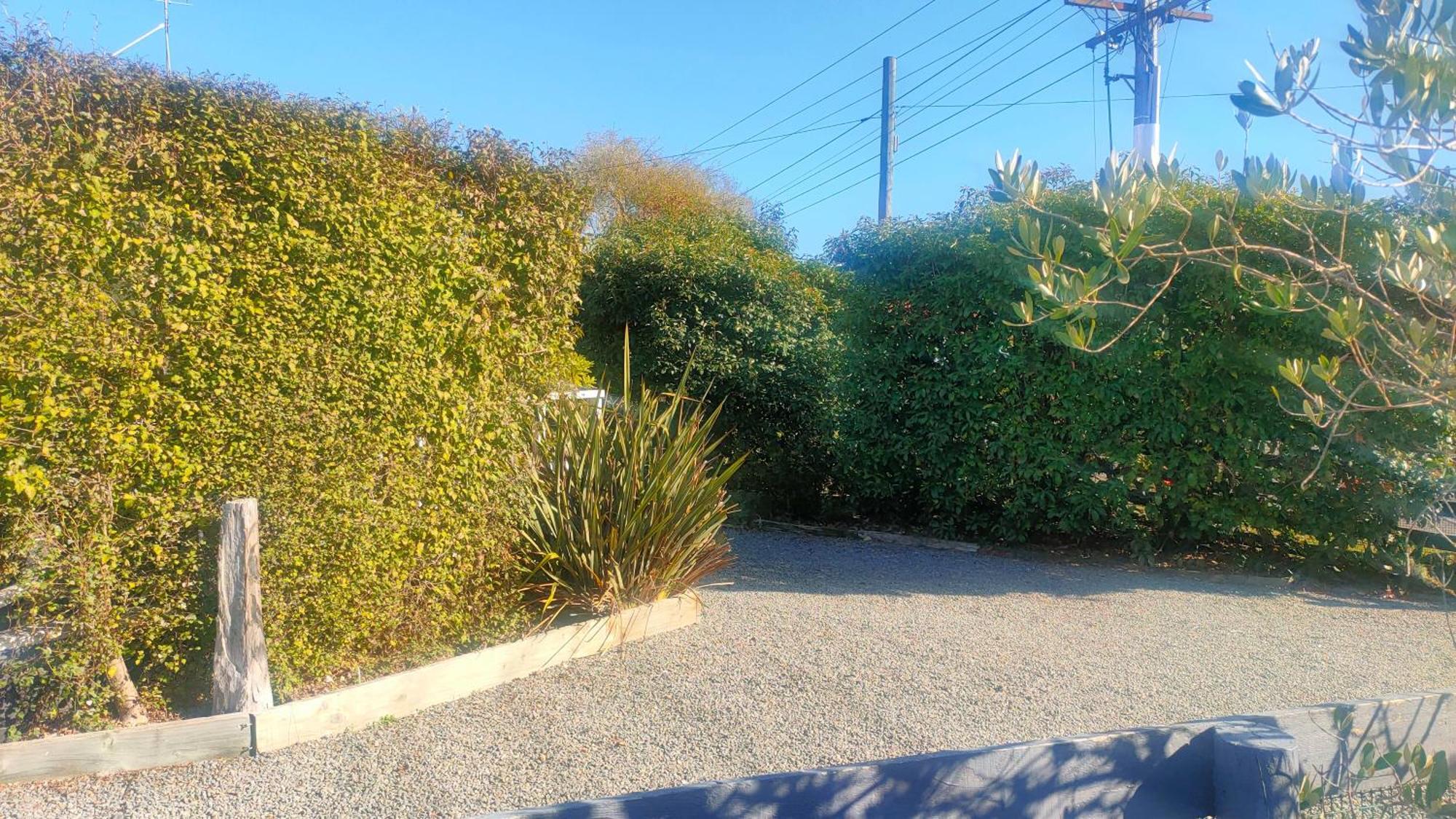 Tui Cottage Martinborough Extérieur photo